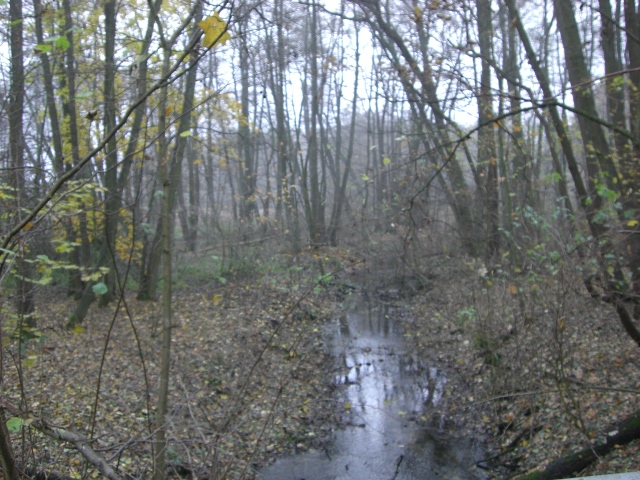 CTF-Kesselsee 042